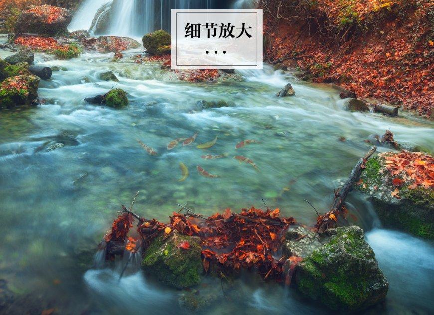 米奇冒险世界